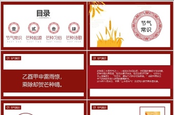 中國(guó)傳統(tǒng)二十四節(jié)氣之芒種PPT模板