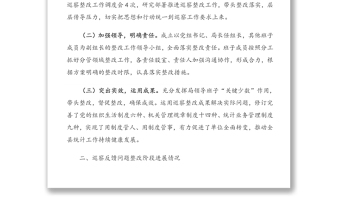 關(guān)于對巡察反饋意見整改階段進展情況的報告