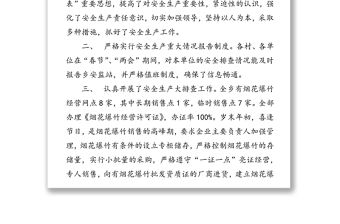 “兩節(jié)”“兩會”期間安全生產(chǎn)集中整治活動階段性工作匯報