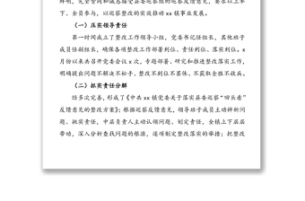 鄉(xiāng)鎮(zhèn)巡察回頭看反饋意見整改落實(shí)情況報(bào)告范文