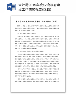 审计局2019年度法治政府建设工作情况报告(区县)
