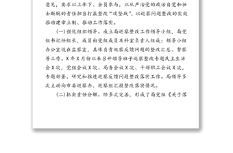 關(guān)于巡察反饋問題整改落實(shí)情況報(bào)告