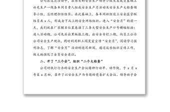 企業(yè)安全生產(chǎn)工作總結(jié)(2篇)