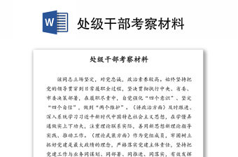 處級干部考察材料