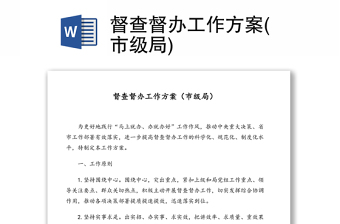 督查督辦工作方案(市級局)