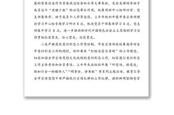 2020全面從嚴治黨主體責任半年工作匯報