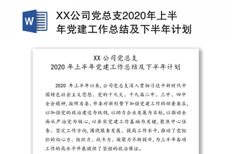 XX公司党总支2020年上半年党建工作总结及下半年计划