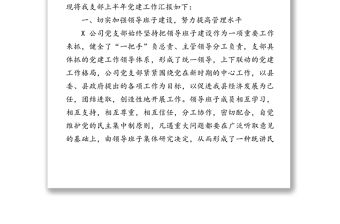 國企黨支部2020上半年黨建工作總結