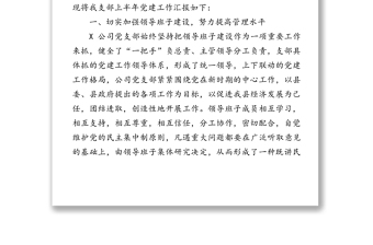 國企黨支部2020上半年黨建工作總結(jié)