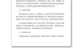 落實院黨委巡察組反饋意見整改工作方案(高校)