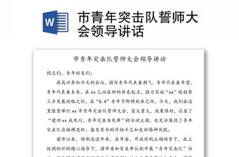 市青年突擊隊誓師大會領導講話