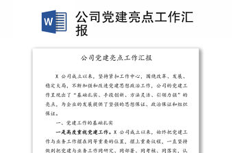 公司黨建亮點工作匯報