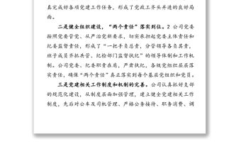 公司黨建亮點工作匯報