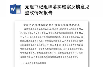 黨組書記組織落實巡察反饋意見整改情況報告