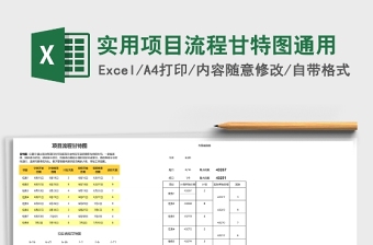 excel项目流程