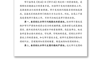在局審計整改動員會議上的講話