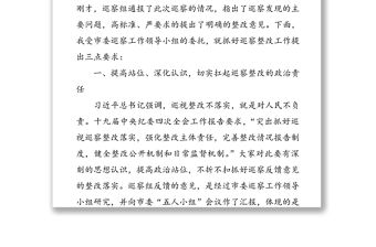 在巡察某鎮反饋會上的講話