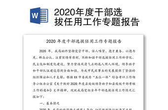 2020年度干部選拔任用工作專題報告