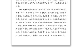 “333”黨建模式自查報告（存在問題、整改措施）