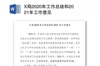 X局2020年工作总结和2021年工作意见