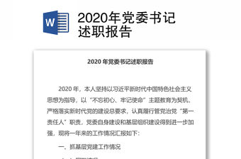 2020年黨委書記述職報告