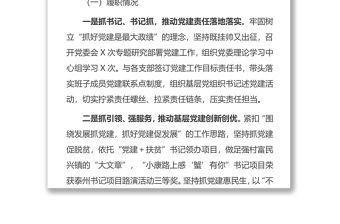 2020年黨委書記述職報告