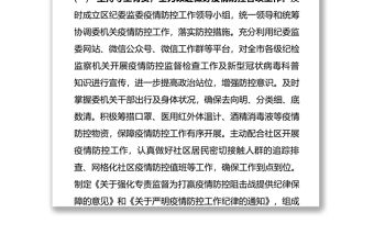 紀委監委2020年紀檢監察工作總結及2021年工作打算