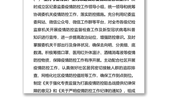 纪委监委2020年纪检监察工作总结及2021年工作打算