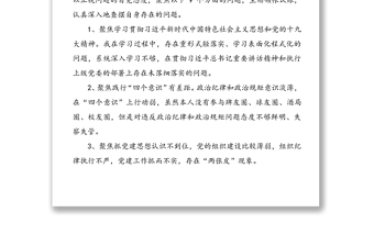 巡視整改專題民主生活會(huì)個(gè)人發(fā)言材料