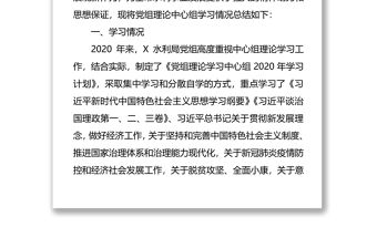2020年黨組理論中心組學習工作總結（水利局）