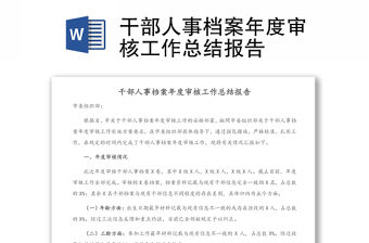 干部人事檔案年度審核工作總結報告
