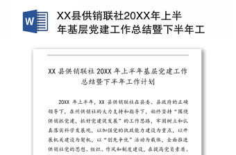 XX縣供銷聯社20XX年上半年基層黨建工作總結暨下半年工作計劃