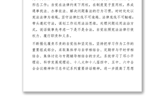 2020年領導個人年終述職報告