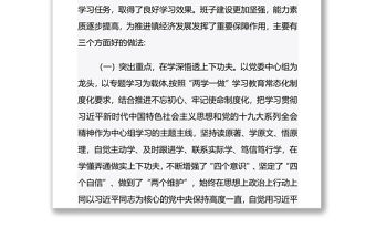 2020年黨委理論中心組學(xué)習(xí)總結(jié)