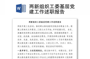 兩新組織工委基層黨建工作述職報告