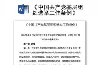 2022国铁企业组织选举工作细则