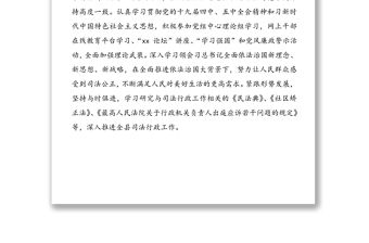 司法局局長2020年度述職述學述法述責述廉報告范文（1）