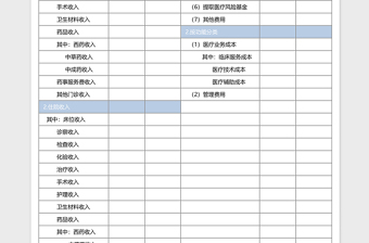 醫(yī)院收入支出明細(xì)表模板