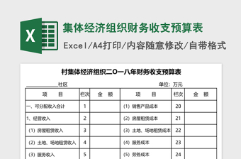 集体经济组织财务收支预算表excel模板