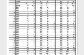 九年级中期成绩表Excel表格