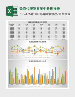 微商代理销售年中分析报表Excel模板
