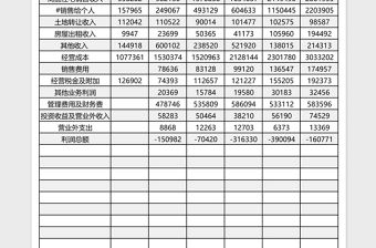 房地產開發企業財務狀況Excle表格