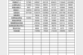 房地产开发企业财务状况Excle表格