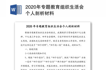 2020年專題教育組織生活會個人剖析材料