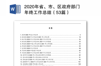 2020年省、市、区政府部门年终工作总结（53篇）
