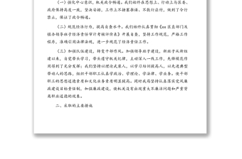 經(jīng)濟責(zé)任履行情況自查報告匯編（2篇）