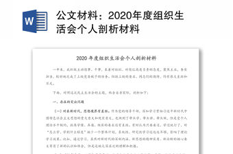 公文材料：2020年度組織生活會個人剖析材料