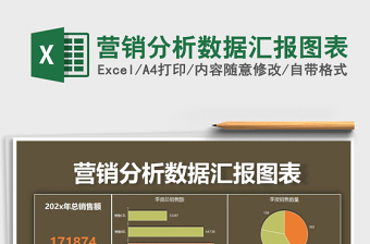 2021年营销分析数据汇报图表