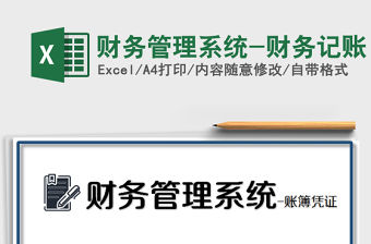 2021年財務管理系統-財務記賬