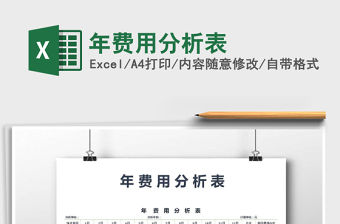 2021年年費用分析表